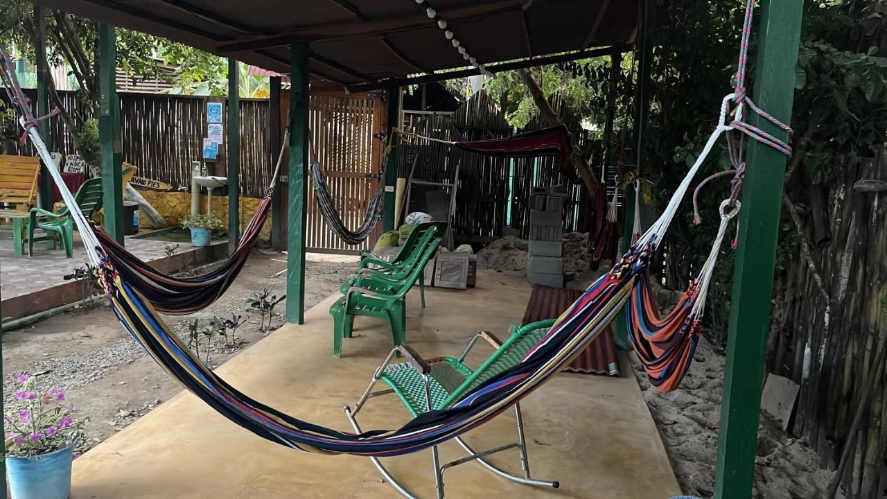 Palomino Hostel Luaran gambar