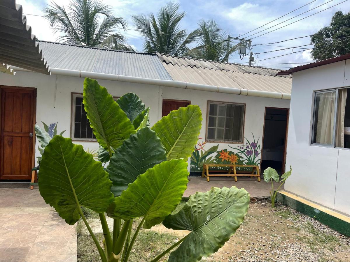 Palomino Hostel Luaran gambar