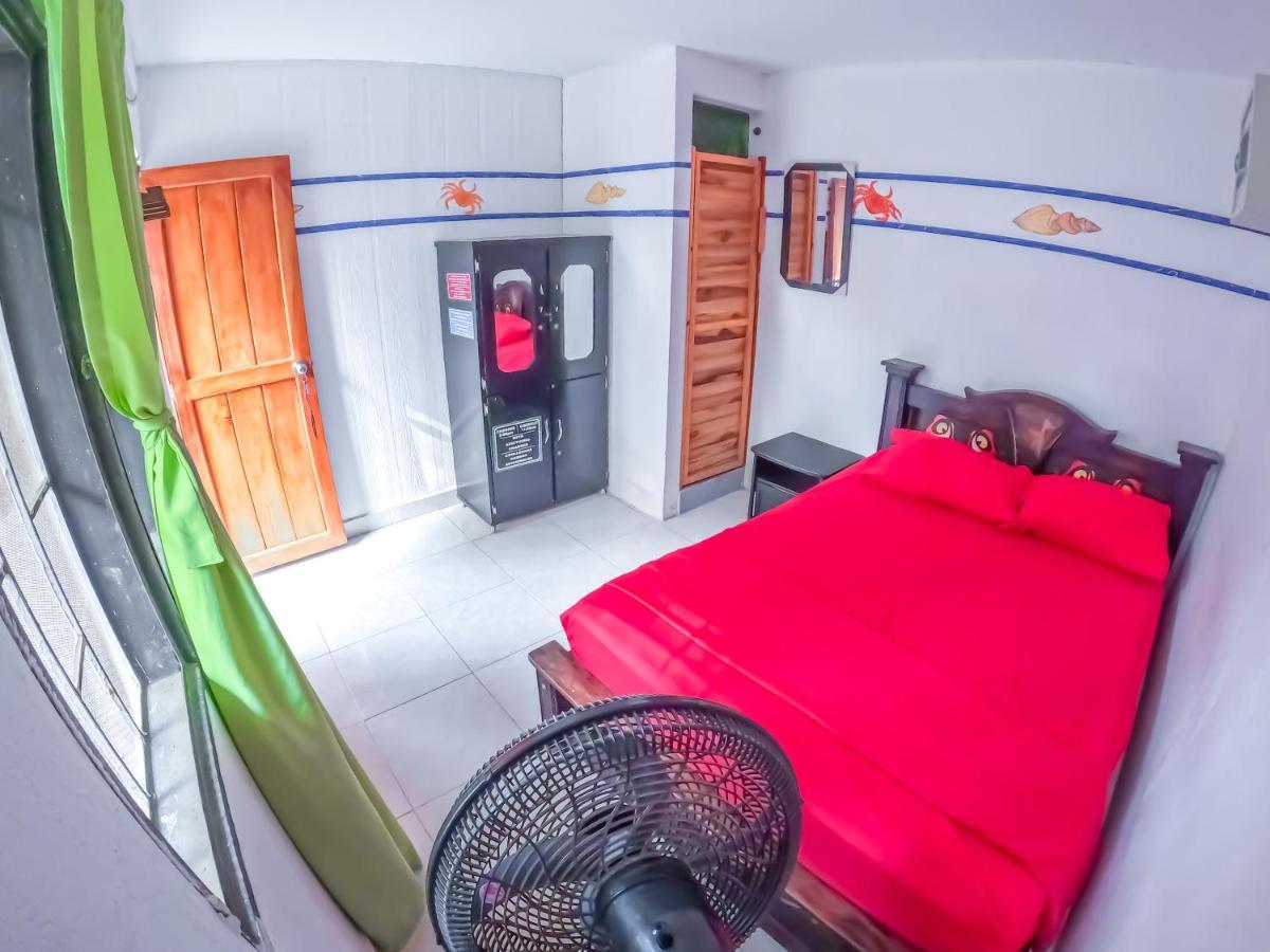 Palomino Hostel Luaran gambar
