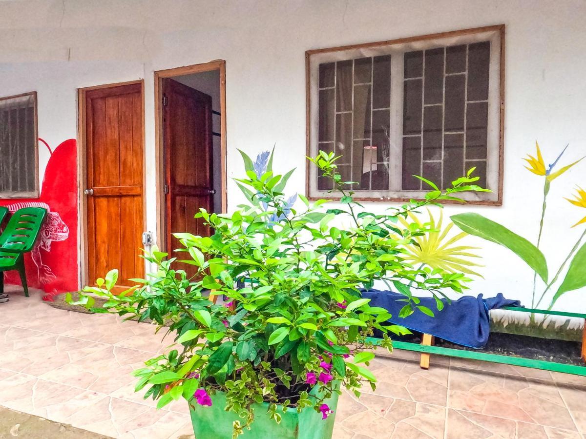 Palomino Hostel Luaran gambar