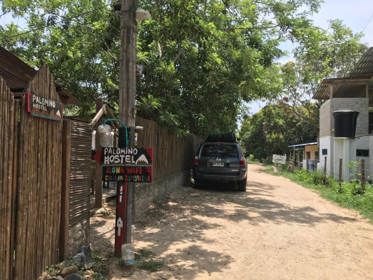Palomino Hostel Luaran gambar